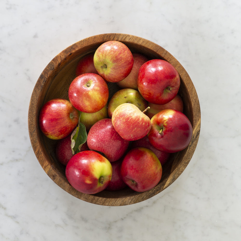 Mango Wood Salad Bowl - VIN23457 - Uneeka