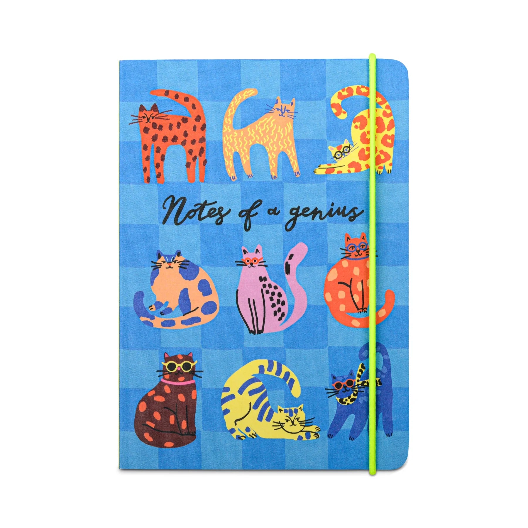 Notes Of A Genius Blue Cat Notebook - HJX028EU - Uneeka