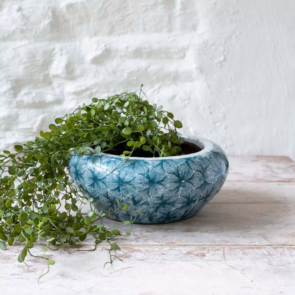 Petal Pattern Teal Shallow Bulb Planter with decorative plant