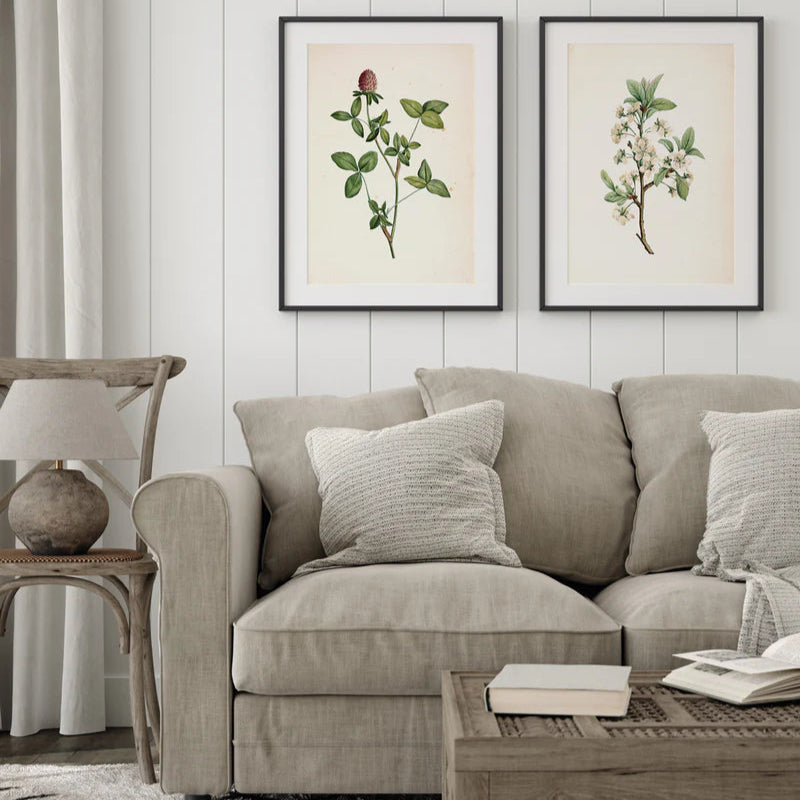 Red Clover Wildflower Oak Framed Art Print - Oak Frame - Uneeka