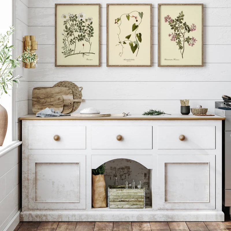 Rosa Repens Botanical Framed Art Print - Oak Frame - Uneeka Lifestyle