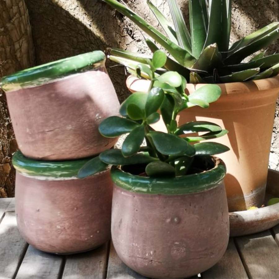 Rustic Terracotta Plant Pot with Coloured Rim - Green