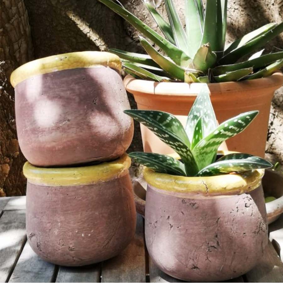 Rustic Terracotta Plant Pot with Coloured Rim - Yellow