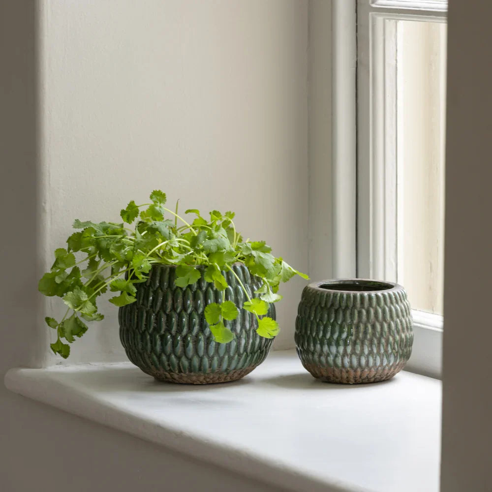 Armadillo Textured Green Plant Pot - SNT989 - Uneeka