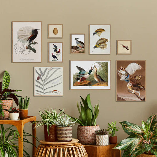 Le Nébuleux Framed Art Print - OFP 100x140 6713 - Uneeka