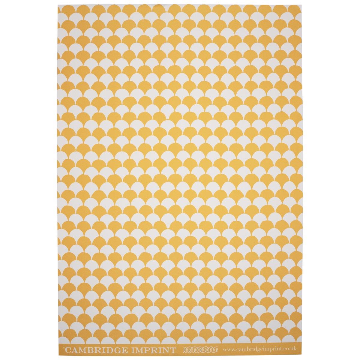 Yellow and white patterned product on a white background - Two Tone Scallop Gift Wrap - Uneeka - Blue