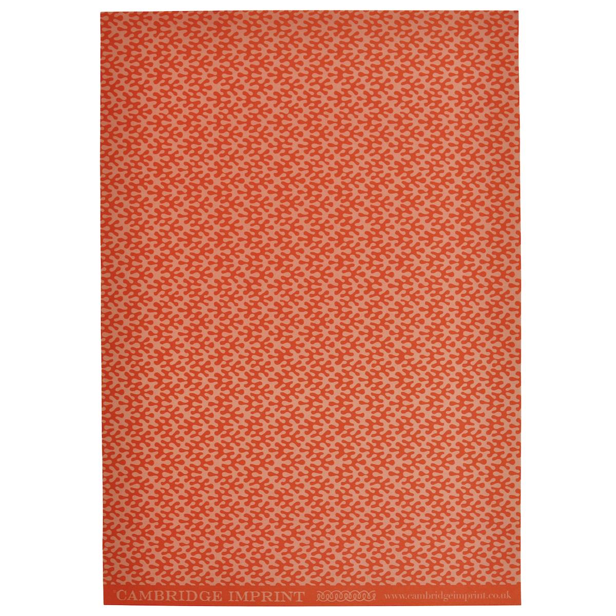 Orange and pink patterned gift wrap with sea kelp inspired pattern - Uneeka - 50 x 70 cm