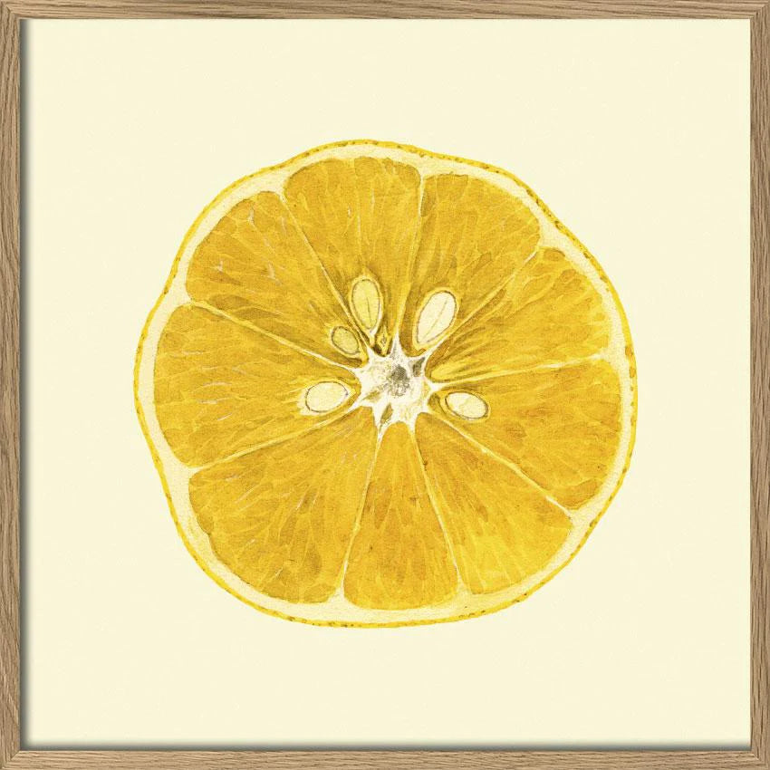 Sliced Open Lemon Framed Print Oak FRame
