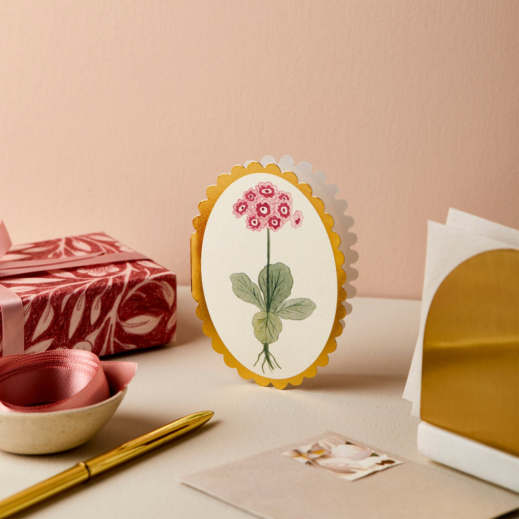 Pink Auricula Flower Mini Greetings Card Lifestyle