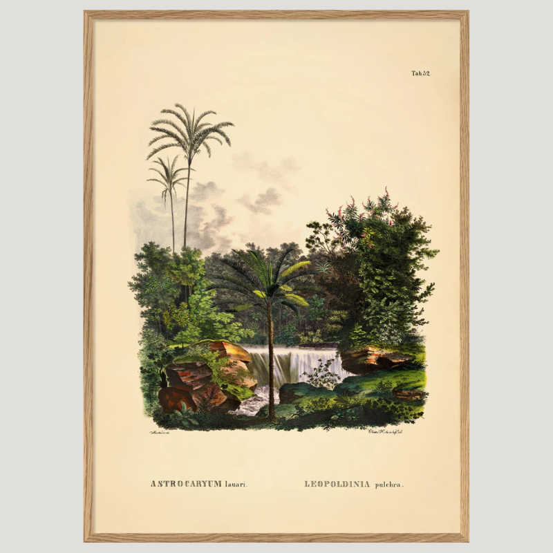 South America Jungle Botanical Framed Art Print - Oak Frame - Vintage Wall Art Uneeka