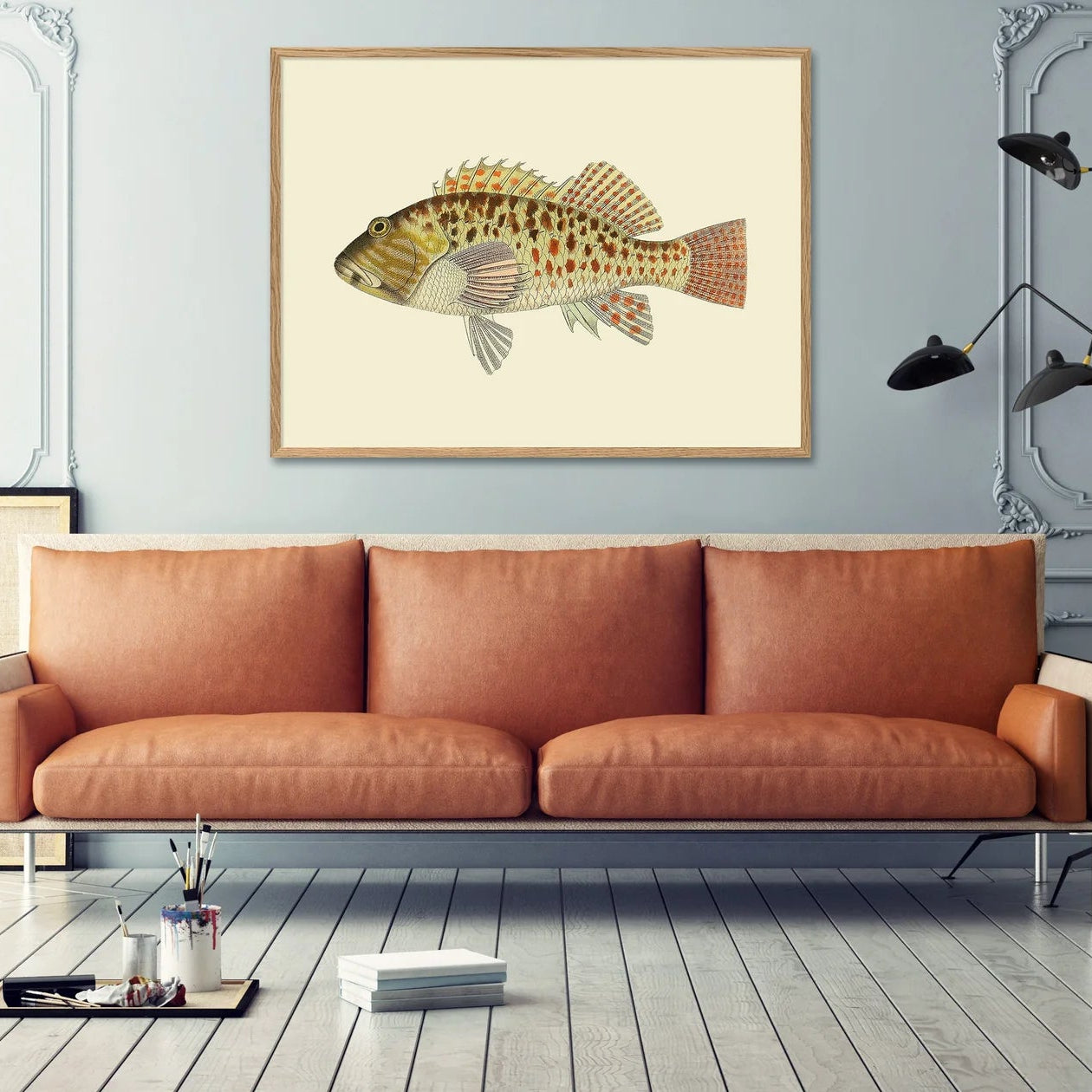 Spotted Hawkfish Framed Art Print - OFG 30x40 4005 - Uneeka