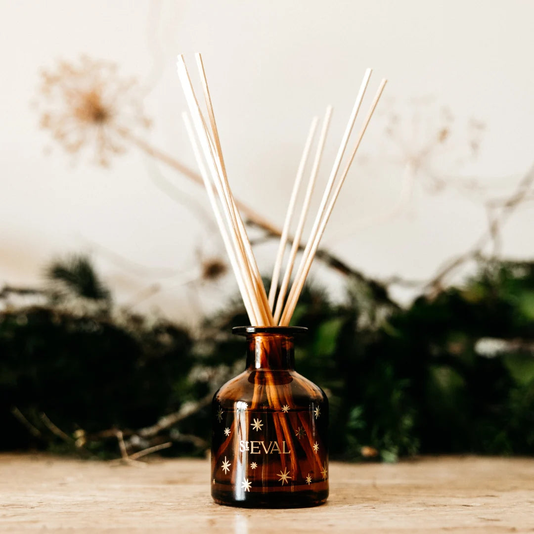 St Eval Christmas Mini Reed Diffuser Winter Thyme - F01987 - Uneeka