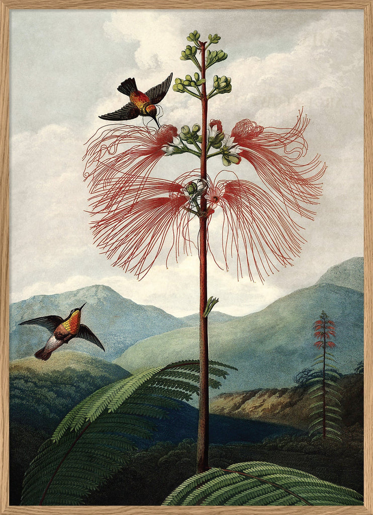 The Tree Of Flowers Flora Framed Print Oak Frame