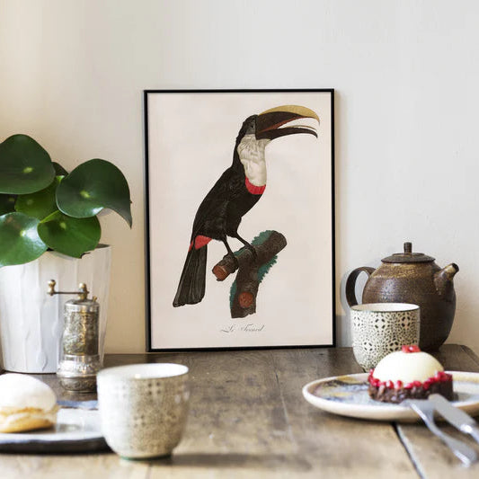 Toco Toucan Framed Print - OFG 50x70 6711 - Uneeka