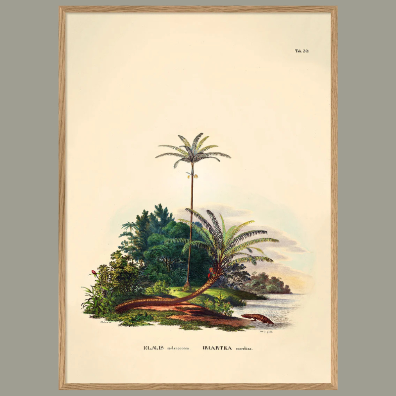 Walking Palm Paradise Botanical Framed Art Print - Oak Frame - Uneeka