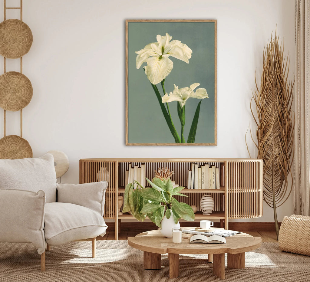 White Iris Laevigata Framed Print Oak Frame On Display