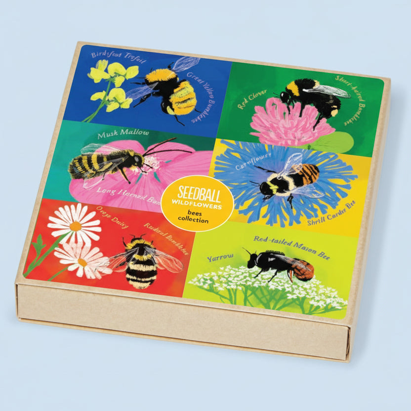 Set Of 6 Bee Friendly Wildflower Seed Mixes - BEE COLLECTION - Uneeka