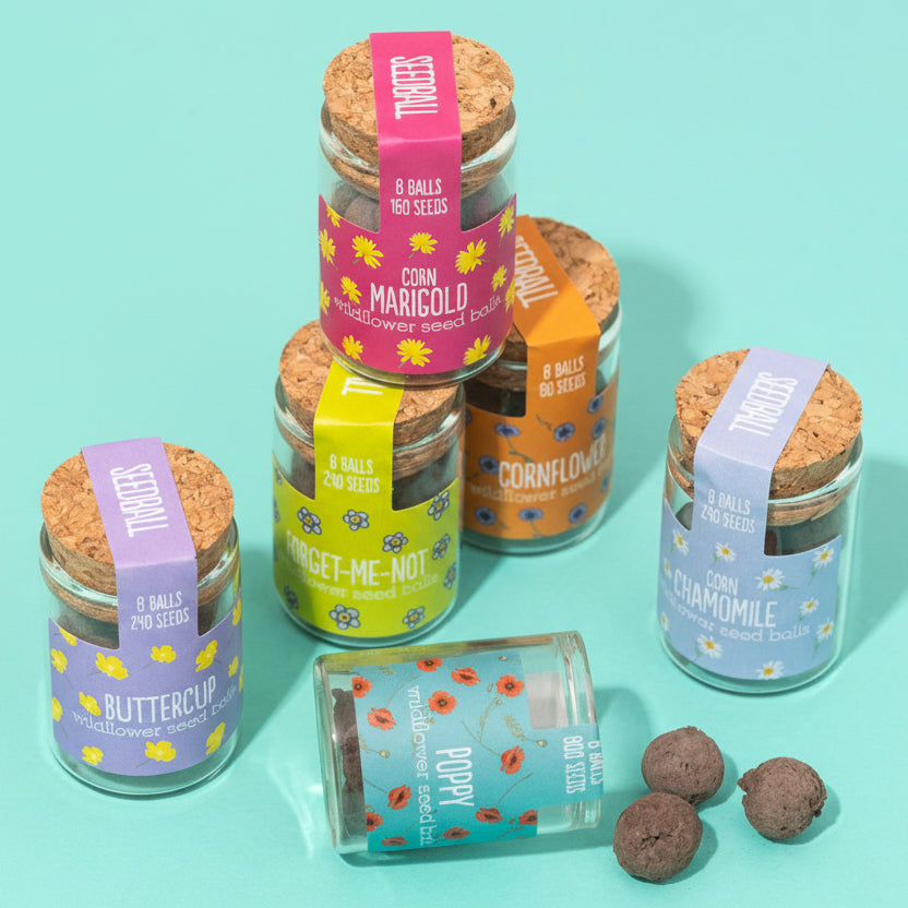 Seedball Flower Seed Jar - JAR-24-BOX - Uneeka
