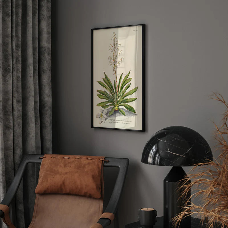Yucca Plant Botanical Framed Art Print - Black Frame - Vintage Wall Decor at Uneeka Lifestyle