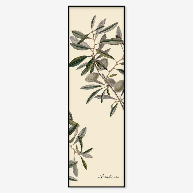 Almond Plant Framed Art Print - BFG 20x60 2804 - Uneeka