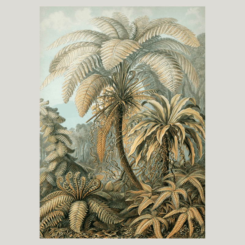 Alsophila Silver Fern Botanical Framed Art Print - 50x70 8215 - Uneeka