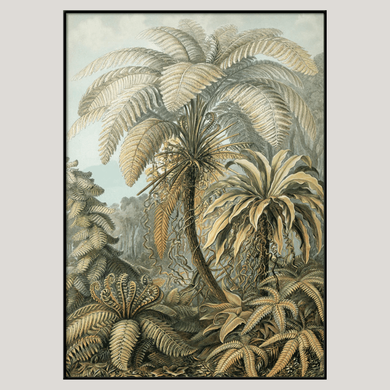 Alsophila Silver Fern Botanical Framed Art Print - BFG 50x70 8215 - Uneeka