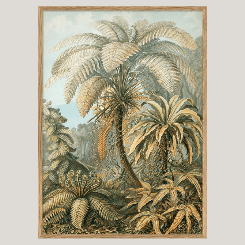 Alsophila Silver Fern Botanical Framed Art Print - OFG 50x70 8215 - Uneeka