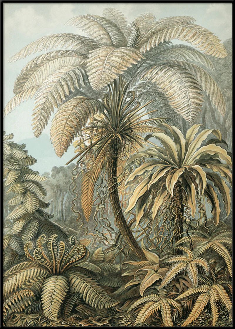 Alsophila Silver Fern Botanical Framed Art Print - BFG 50x70 8215 - Uneeka