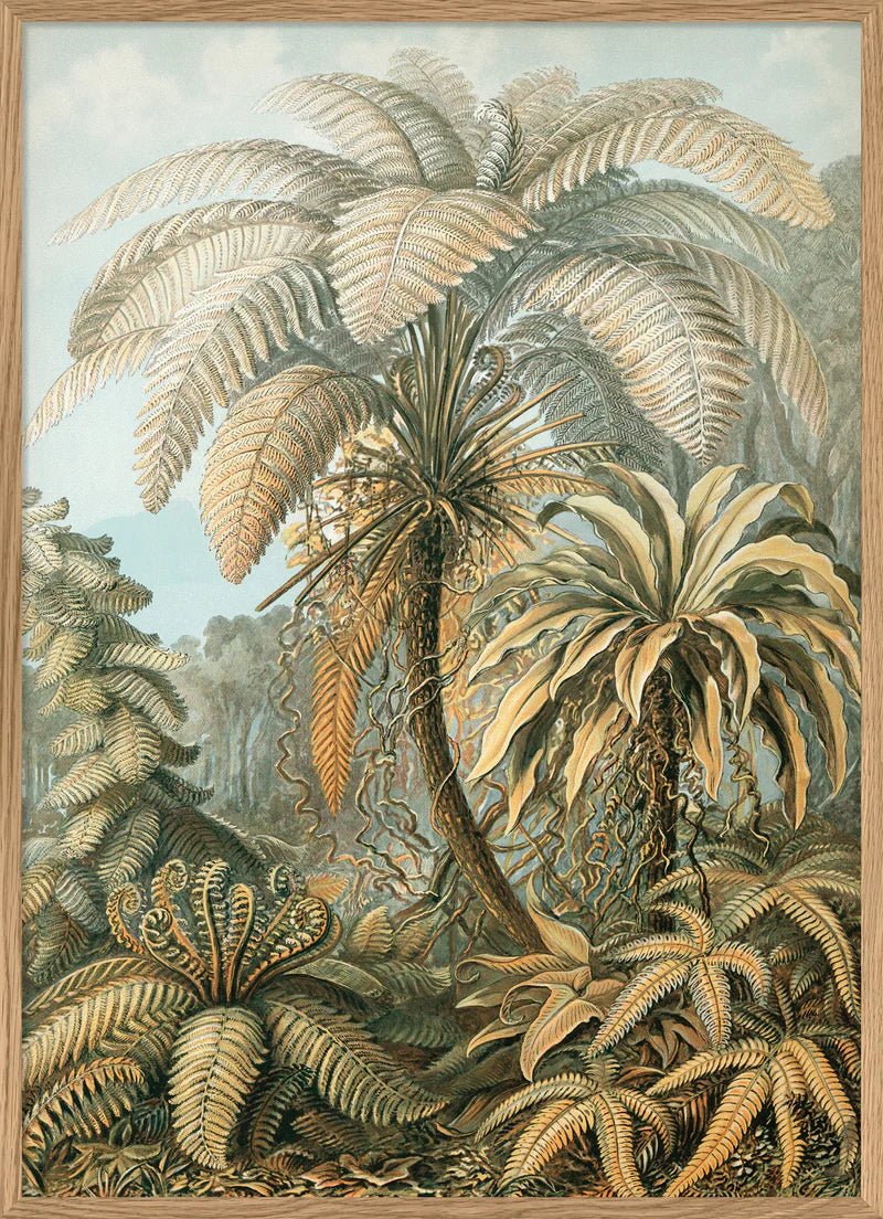 Alsophila Silver Fern Botanical Framed Art Print - OFG 50x70 8215 - Uneeka