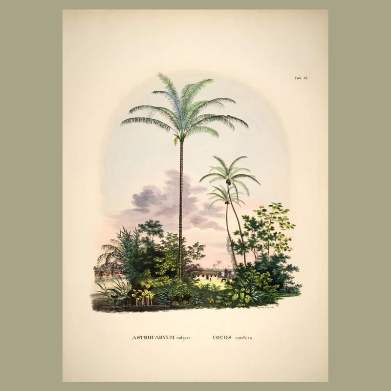 Amazonian Palm Framed Art Print - 50x70 3502 - Uneeka