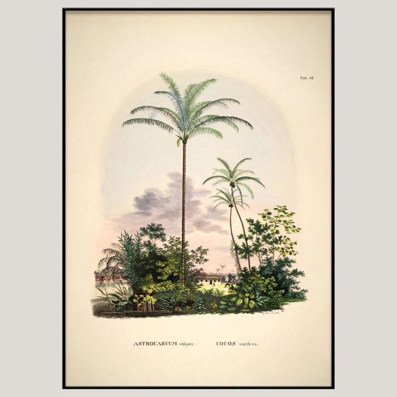 Amazonian Palm Framed Art Print - BFG 50x70 3502 - Uneeka
