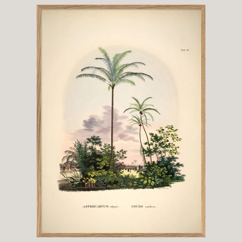 Amazonian Palm Framed Art Print - OFG 50x70 3502 - Uneeka