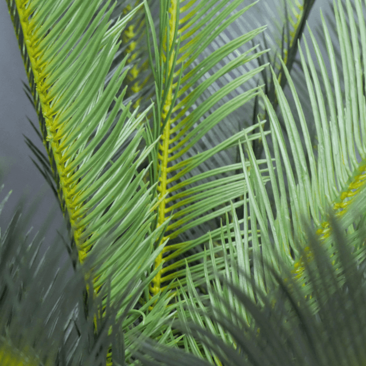 Artificial Cycad Plant* - 6970 - Uneeka