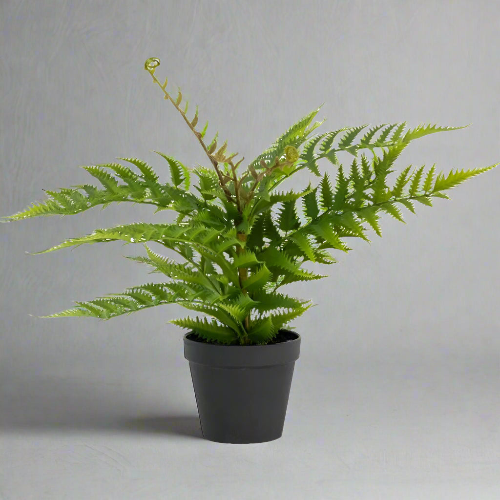 Artificial Unfurling Fern in Black Pot - YF21768 - Uneeka