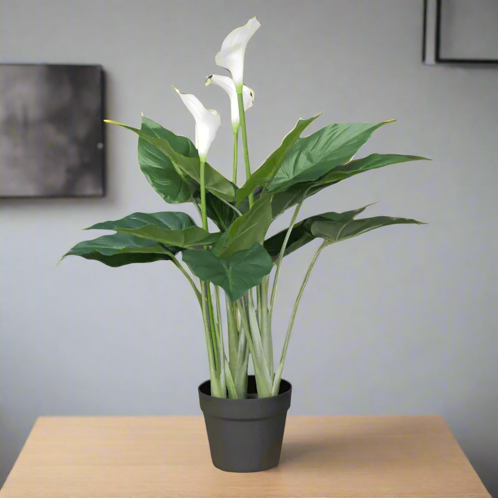 Artificial White Lily in Black Pot - 6966 - Uneeka