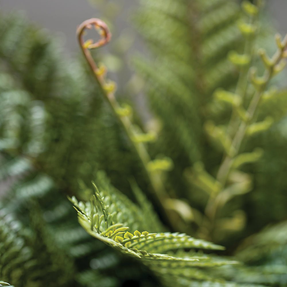 Artificial Wood Fern in Black Pot - YF21133 - Uneeka