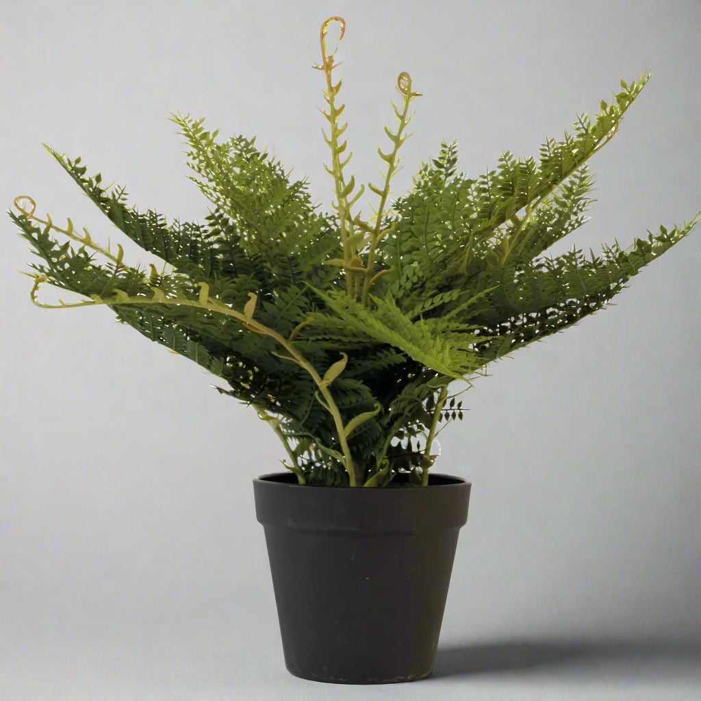 Artificial Wood Fern in Black Pot - YF21133 - Uneeka