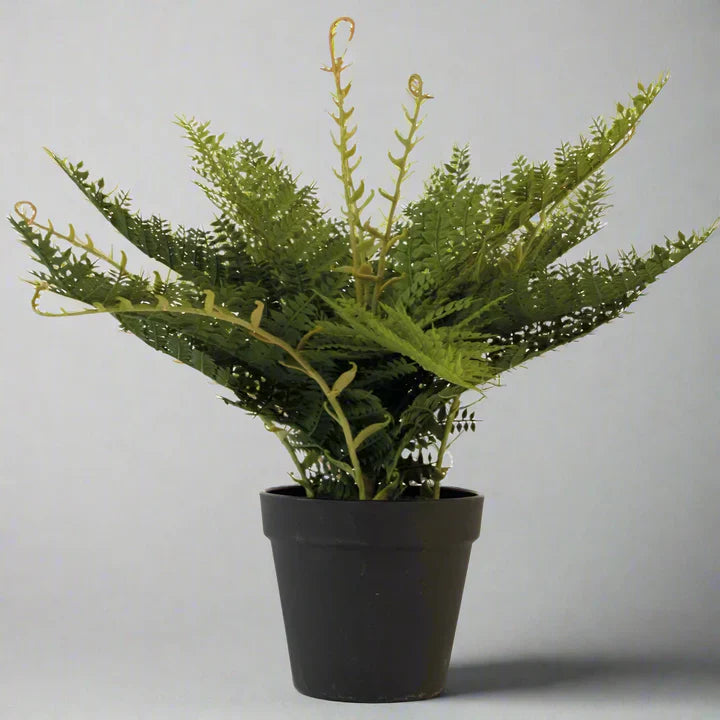 Artificial Wood Fern in Black Pot - YF21133 - Uneeka