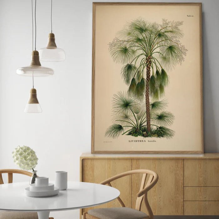 Australian Sand Palm Framed Art Print - OFG 30x40 3507 - Uneeka