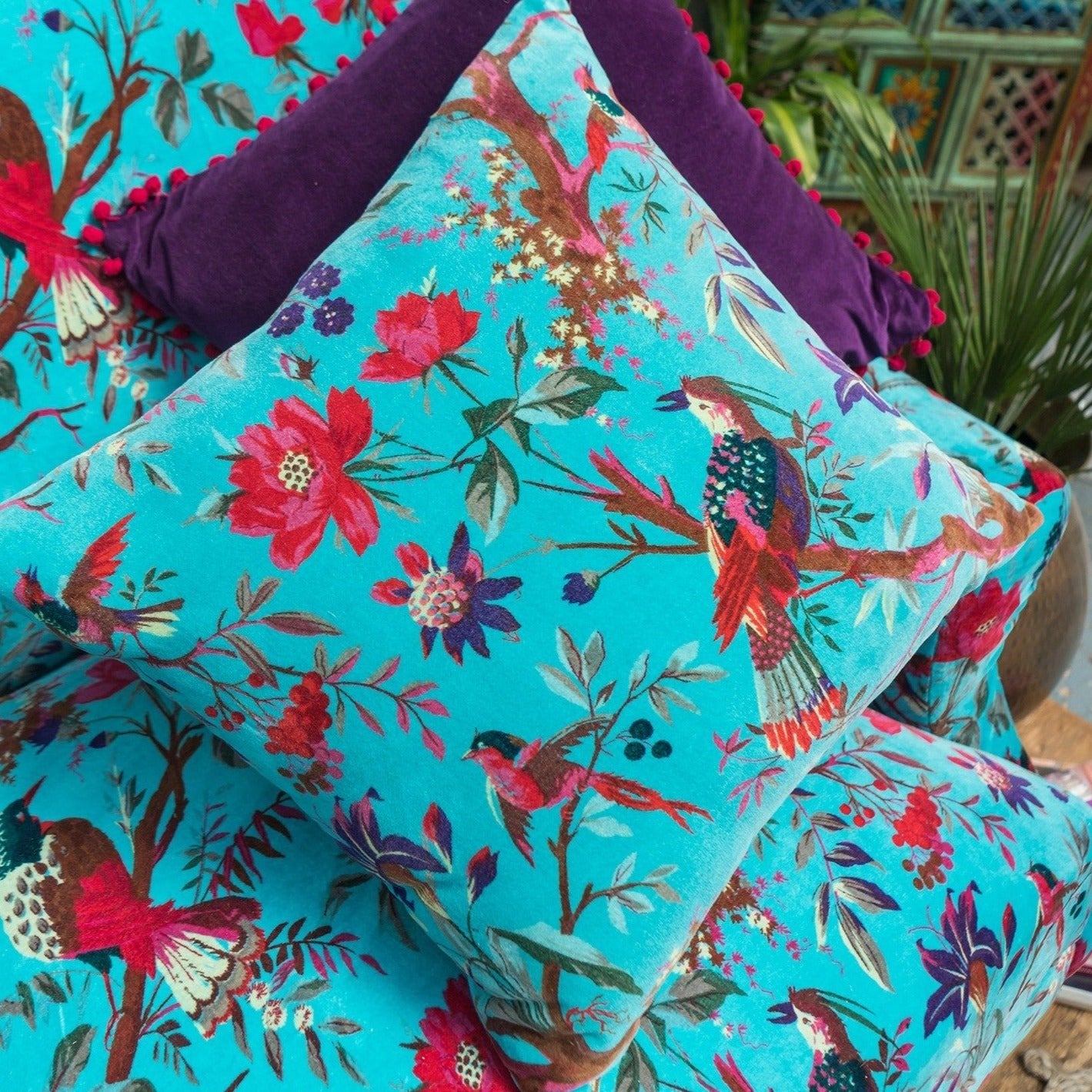 Birds of Paradise Cotton Velvet Cushion - CC312BL - Uneeka