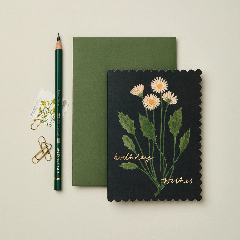 Botanical Daisy Birthday Wishes Greetings Card - WAN 6105 - Uneeka