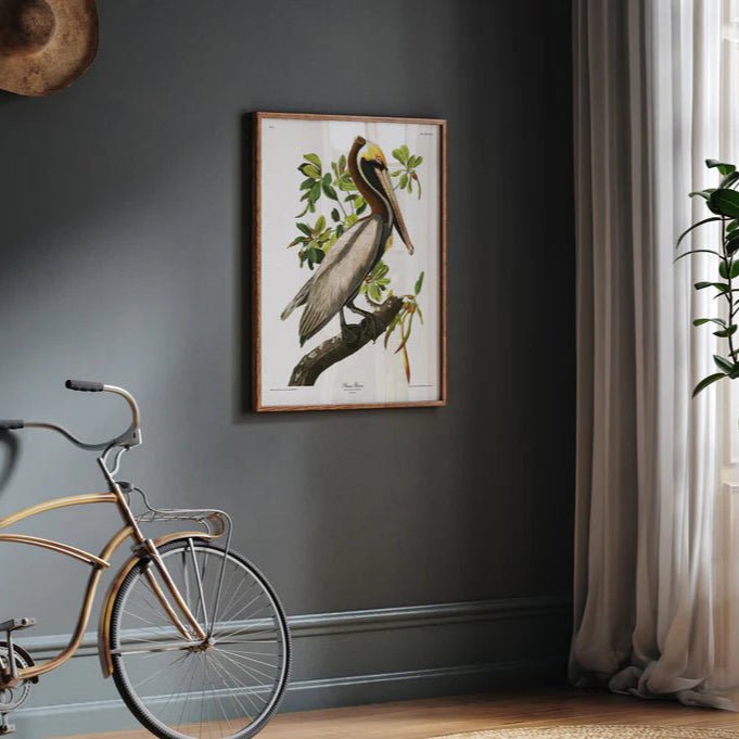 Brown Pelican Framed Art Print - OFG 50x70 6508 - Uneeka