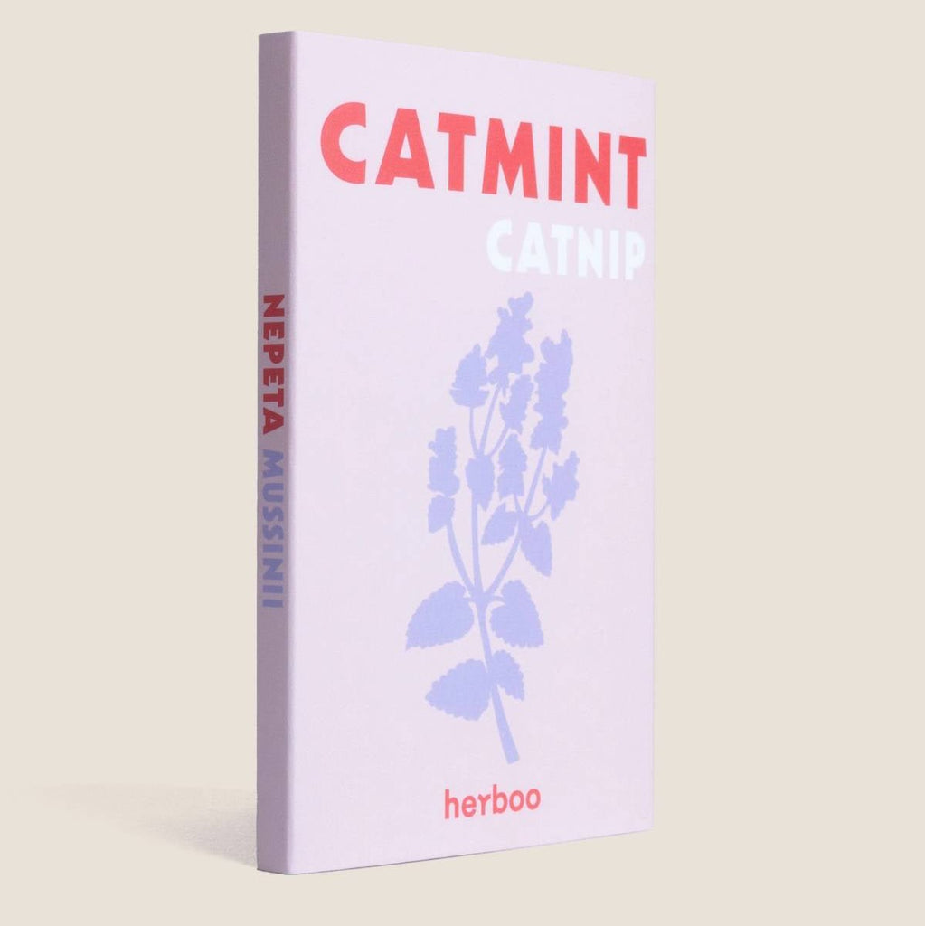 Catmint Seed Pack - HS009 - Uneeka