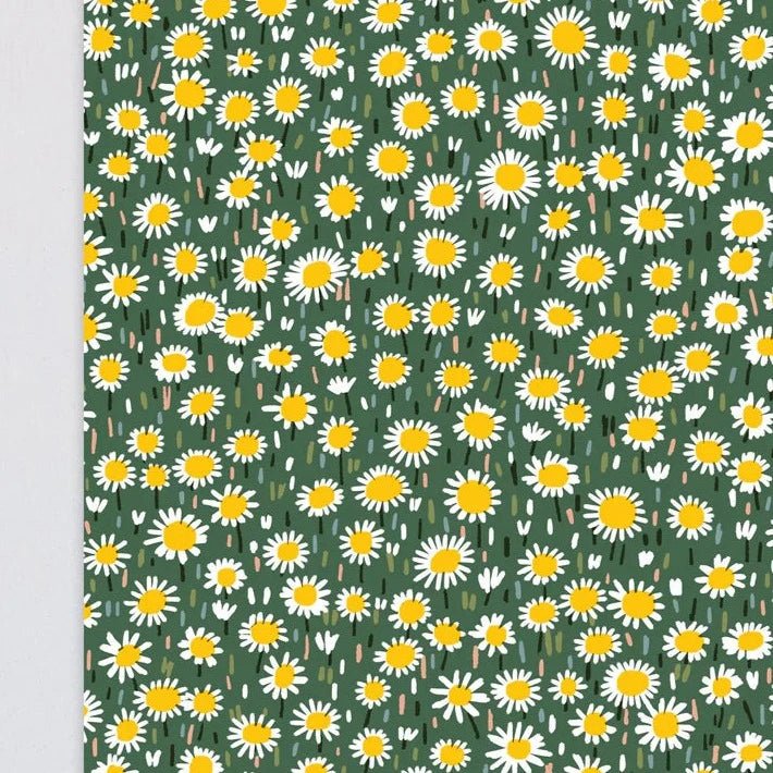 Daisy Meadow Gift Wrap - WP127 - Uneeka