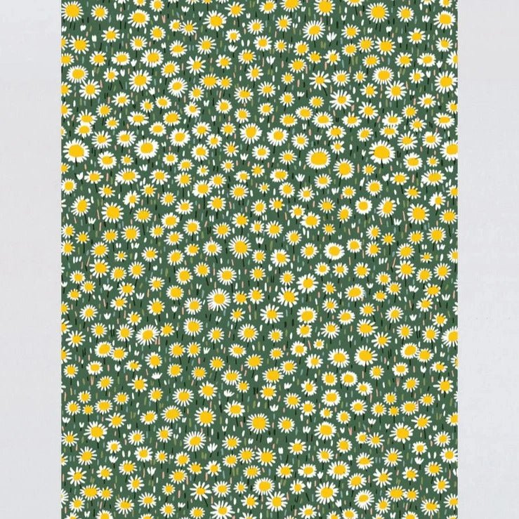 Daisy Meadow Gift Wrap - WP127 - Uneeka