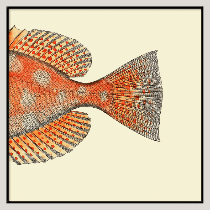 Dotted Orange Fish Tail Framed Art Print - BFP 30x30 5611 - Uneeka