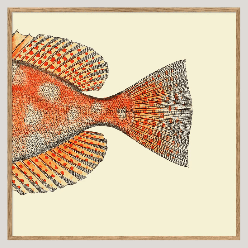 Dotted Orange Fish Tail Framed Art Print - OFG 30x30 5611 - Uneeka