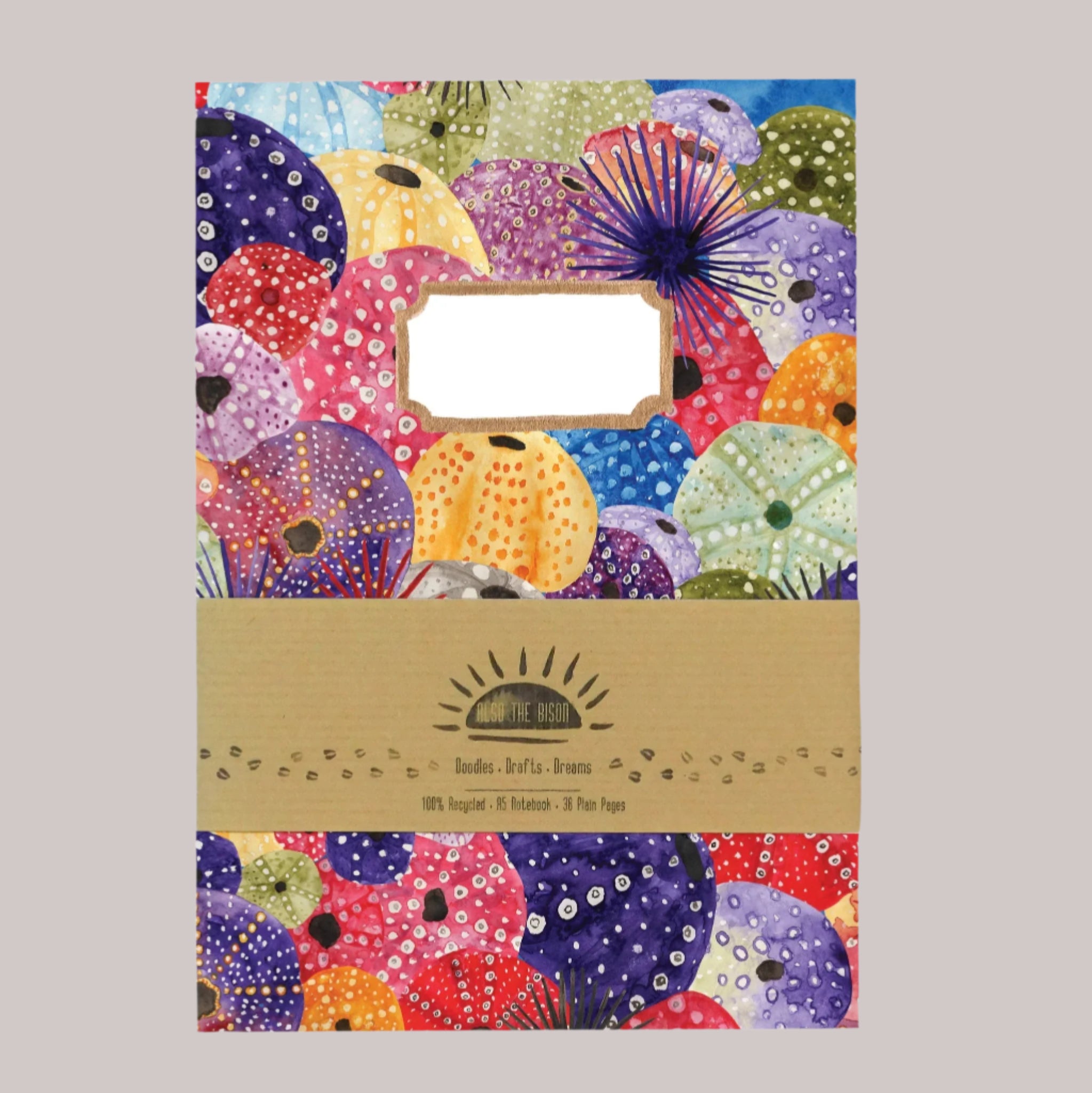 Echinozoa Sea Urchin Print A5 Notebook - Echinozoa Sea Print A5 Notebook FALMOUTH - Uneeka