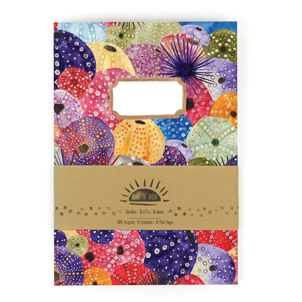 Echinozoa Sea Urchin Print A5 Notebook - Echinozoa Sea Print A5 Notebook FALMOUTH - Uneeka