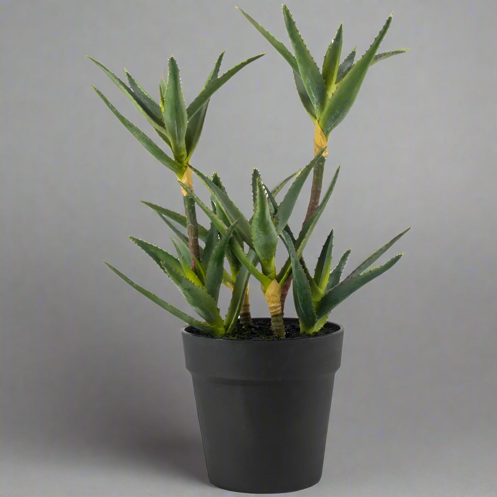 Faux Aloe in Black Pot - YF20544 - Uneeka